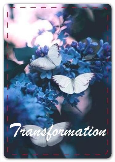 Hidden Agenda Oracle Cards